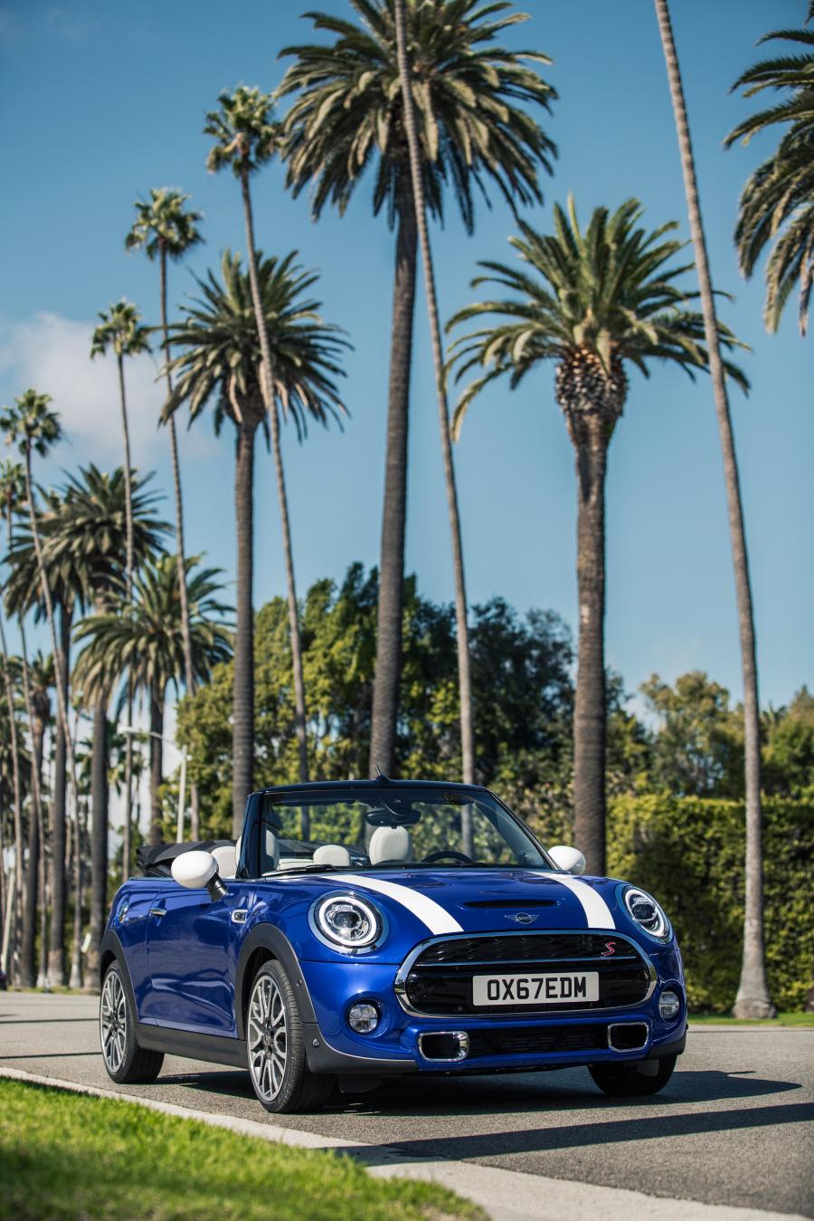  Mini Cooper S Cabrio (F57) 2018 года  (WW) (фото 125 из 222)